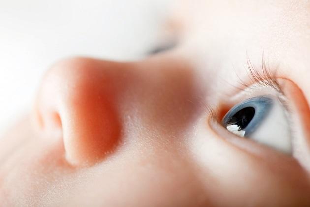 Lo sviluppo e le problematiche visive del neonato pretermine