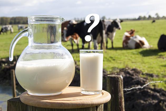Meglio il latte di mucca o quello di capra? Di soia o di riso?