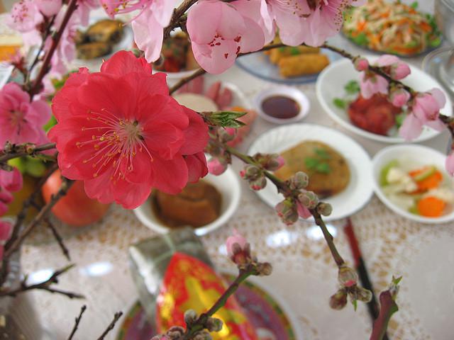 Primavera in cucina con le ricette a base di fiori