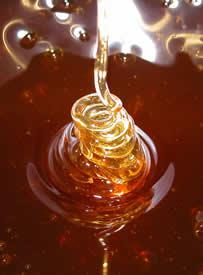 Pere piccanti al miele
