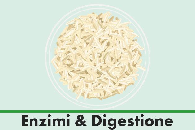 Amido di riso fermentato, l’alleato naturale della tua digestione