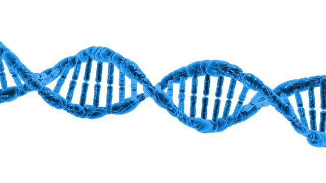 Sla: scoperto il gene che provoca la forma ereditaria