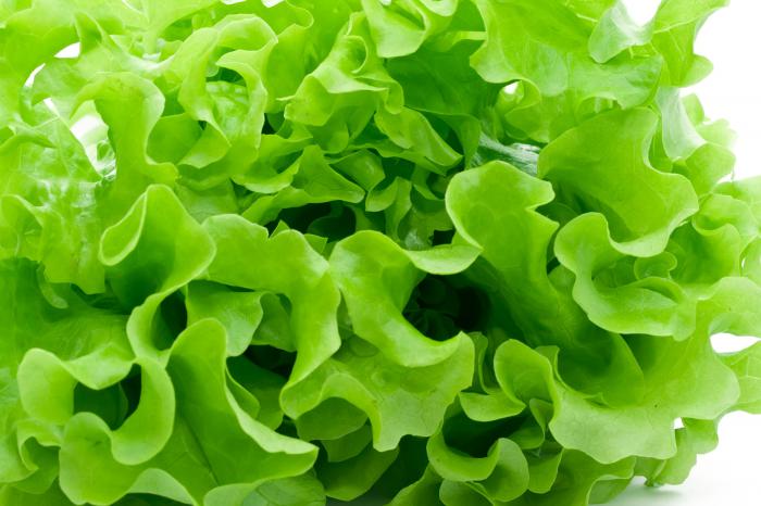 I vegetali verdi rinforzano le nostre difese immunitarie