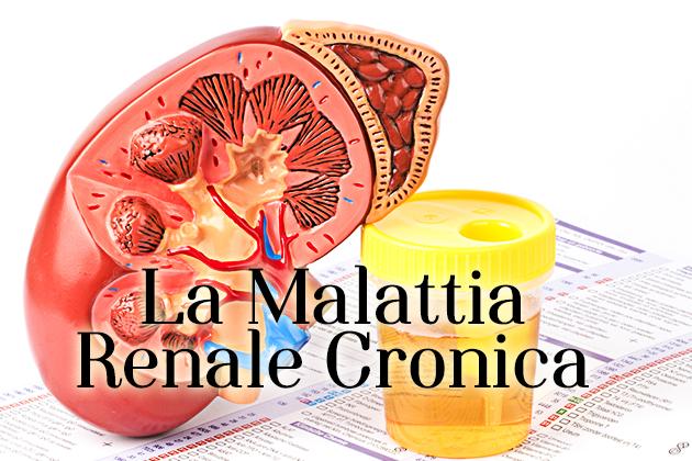Malattia renale cronica: le linee guida per le cure primarie