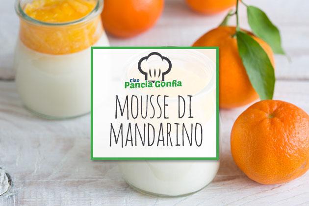 Ricette Ciao Pancia Gonfia: mousse di mandarino