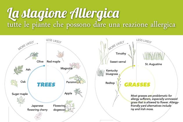 Tutte le piante che provocano le allergie stagionali